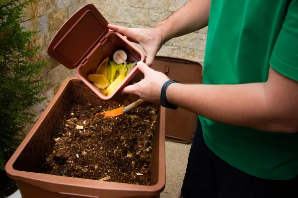 Composteira doméstica: Crie a sua e transforme os resíduos da sua cozinha em adubo para as suas plantas