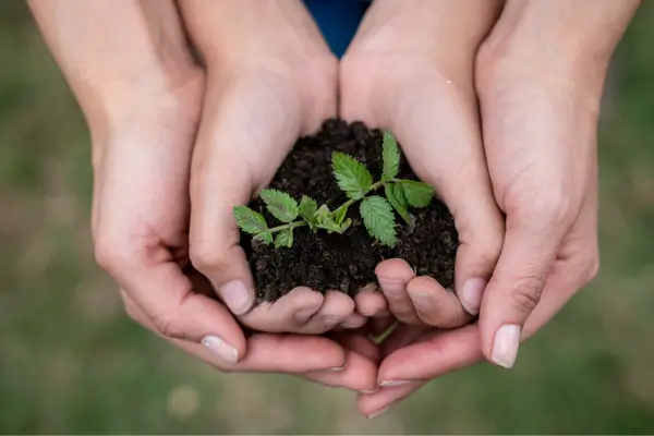 Mães que Cuidam do Planeta: Dicas para uma Maternidade Sustentável